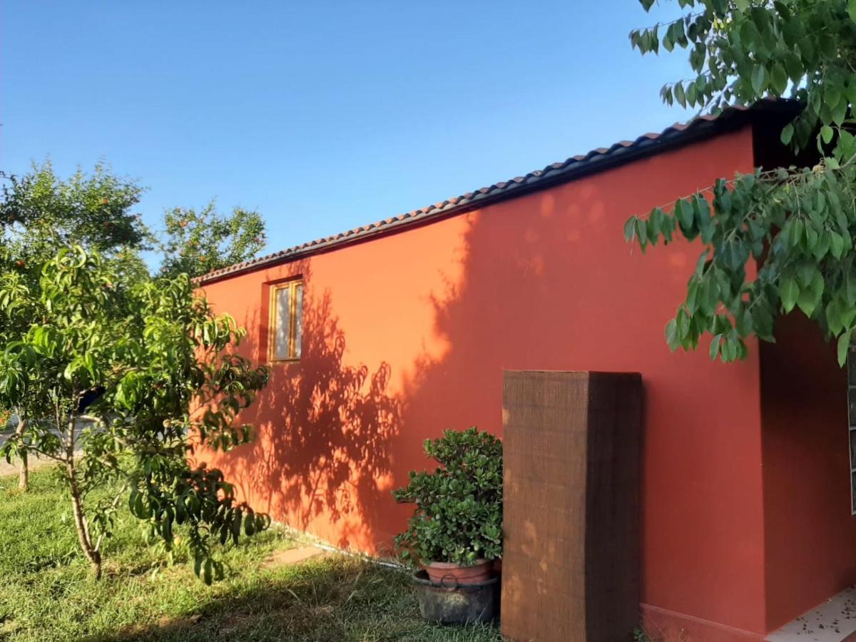 Casa Di Campagna Dal Pozzo Sorso Exterior foto