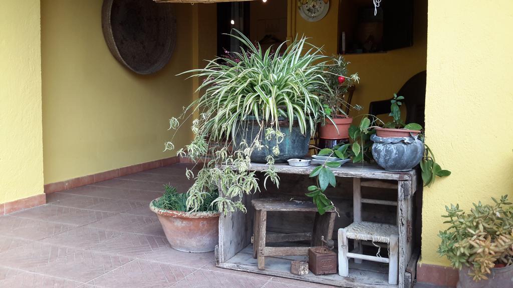 Casa Di Campagna Dal Pozzo Sorso Quarto foto