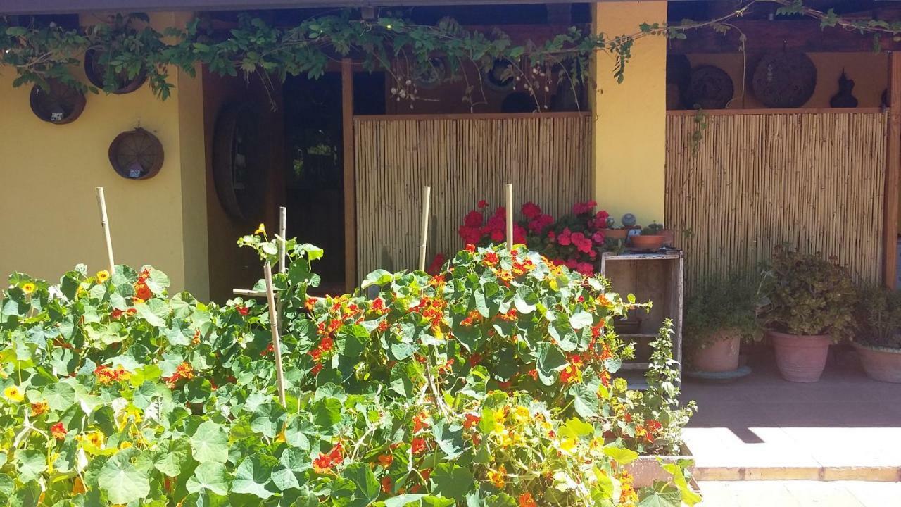 Casa Di Campagna Dal Pozzo Sorso Exterior foto